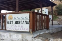 Fata Morgana – Paradisos, Tavern & Cafe in Zakinthos Chora, Zakinthos, Ionian Islands