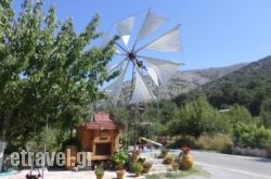 Zeus Garden in Zakros, Lasithi, Crete