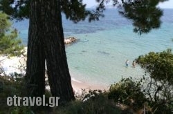 Papalimani Restaurant Beach Bar in Argasi, Zakinthos, Ionian Islands