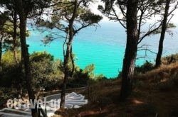 Navagos Beach Bar in Kokkari, Samos, Aegean Islands