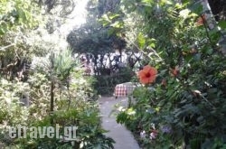 Alonaki Bay in Corfu Chora, Corfu, Ionian Islands