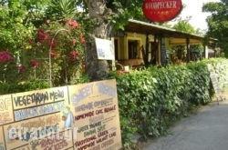 Orchard Restaurant in Aghios Stefanos, Corfu, Ionian Islands