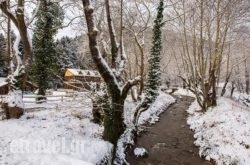 River Art in Karpenisi, Evritania, Central Greece