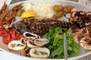 Palati_food_in_Restaurant___Thessaloniki