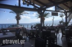 Pelagos Taverna Restaurant in Athens, Attica, Central Greece