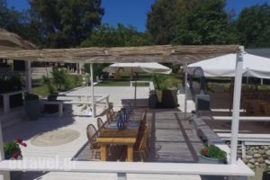 Navagos Beach Bar Restaurant_food_in_Restaurant___Pallini